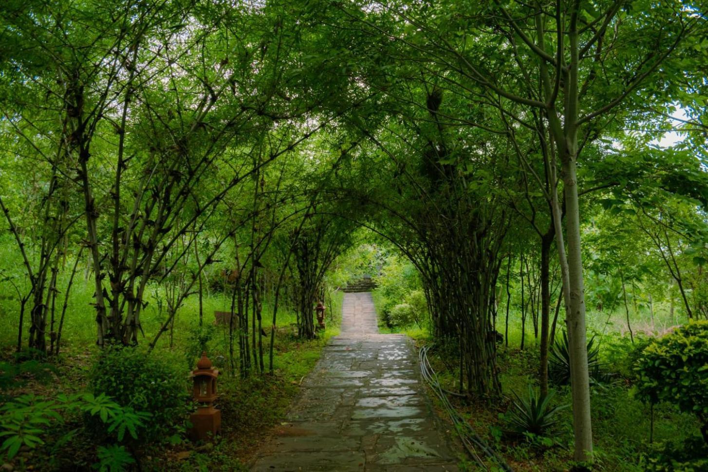 The Sky Imperial Kumbhalmer Resorts Kumbhalgarh Exterior foto